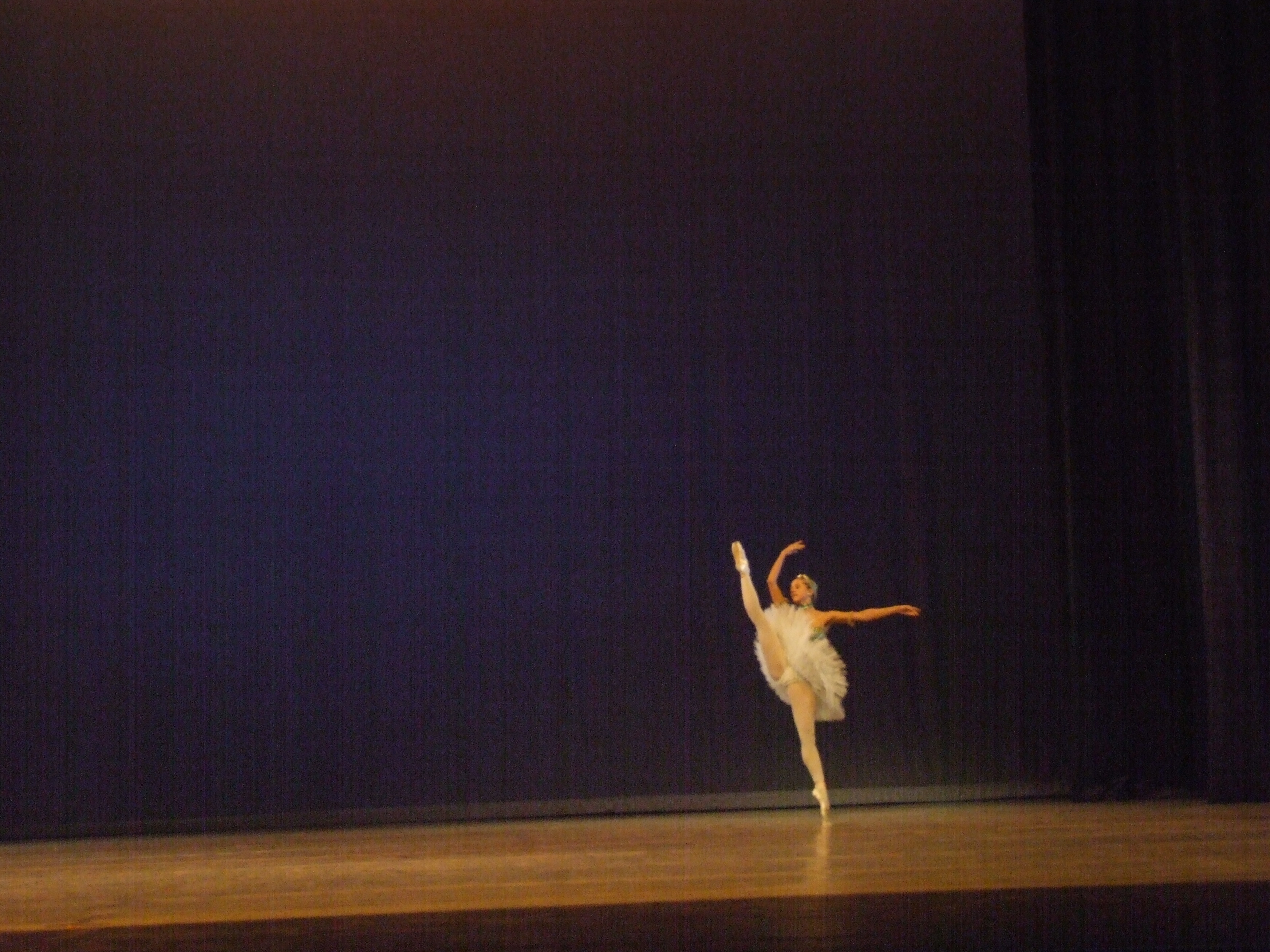 DSCF1739.JPG